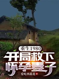 重生1980:开局救下怀孕妻子 封面