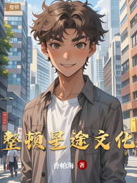 整顿星途文化 封面