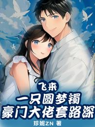飞来一只圆梦镯,豪门大佬套路深 封面