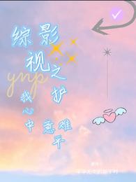 综影视之护我心中意难平 封面