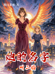 她的名字叫二婚 封面