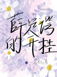 薛定谔的开挂 封面