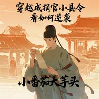 穿越成捐官小县令,看如何逆袭 封面