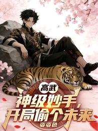 高武：神级妙手，开局偷个未来 封面