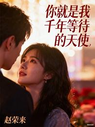 你就是我千年等待的天使 封面