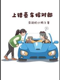 上错豪车嫁对郎 封面