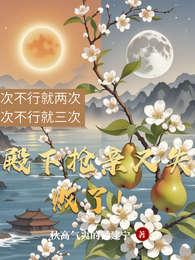 殿下抢亲又失败了！ 封面
