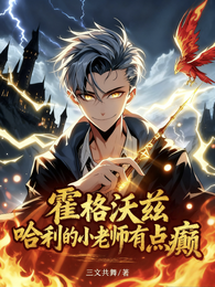 霍格沃兹：哈利的小老师有点癫 封面