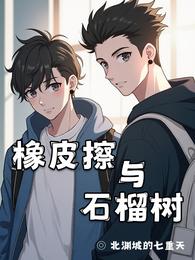 橡皮擦与石榴树 封面