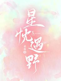 星忱遇野 封面