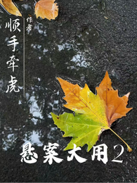 悬案大用2 封面