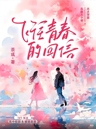 飞往青春的回信 封面
