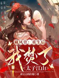 藏凤骨:重生后我焚了太子江山 封面