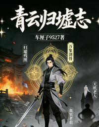 青云归墟志 封面