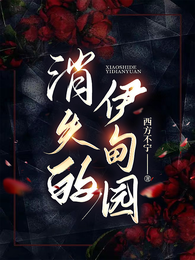 消失的伊甸园 封面