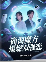 商海魔方：爆燃双强恋 封面