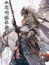 三国之牧已成舟 封面