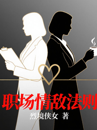 职场情敌法则 封面
