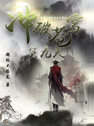 冲破苍穹笑九天 封面