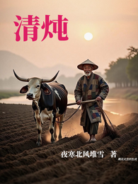 清炖 封面