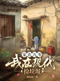 家在九零,我在现代捡垃圾 封面