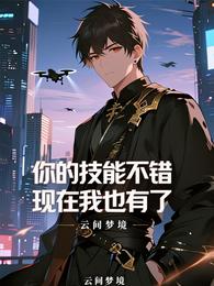 你的技能不错，现在我也有了 封面