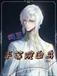 网王：平等院白鸟 封面