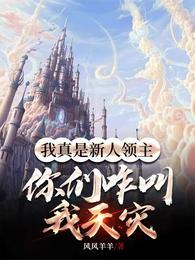 我真是新人领主，你们咋称我天灾 封面
