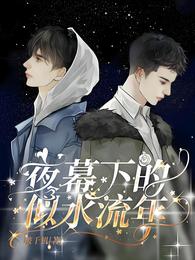 夜幕下的似水流年 封面