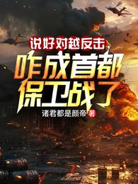 说好对越反击,咋成首都保卫战了 封面