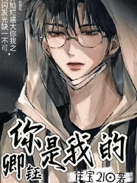 你是我的卿钰 封面