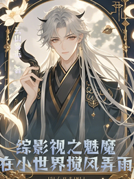 综影视之魅魔在小世界搅风弄雨 封面