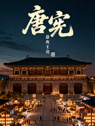 唐宪 封面