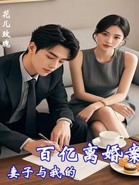 妻子与我的百亿离婚案 封面