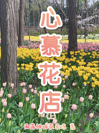 心慕花店 封面