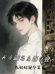 我在盗笔充当社会人 封面