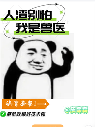 人渣别怕我是兽医 封面