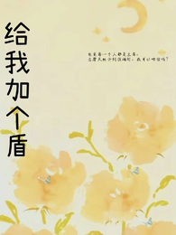 给我加个盾 封面