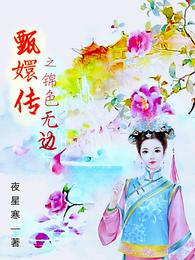 甄嬛传之锦色无边 封面