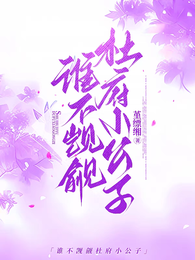 谁不觊觎杜府小公子 封面