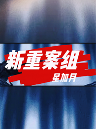 新重案组 封面