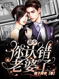 萧少，你认错老婆了 封面