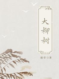 大柳树 封面