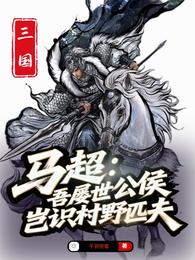 马超：吾屡世公侯，岂识村野匹夫 封面