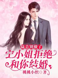 陆总别撩了,宁小姐拒绝和你结婚 封面