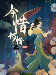 今惜何惜 封面