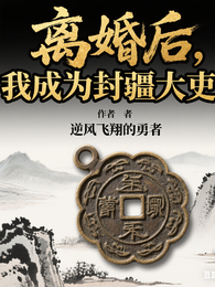 离婚后,我成为封疆大吏! 封面