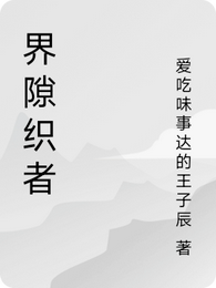 界隙织者 封面