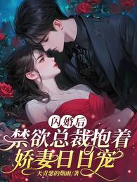 闪婚后，禁欲总裁抱着娇妻日日宠 封面