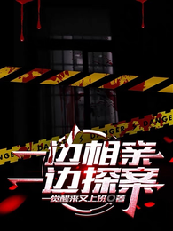 一边相亲一边探案 封面